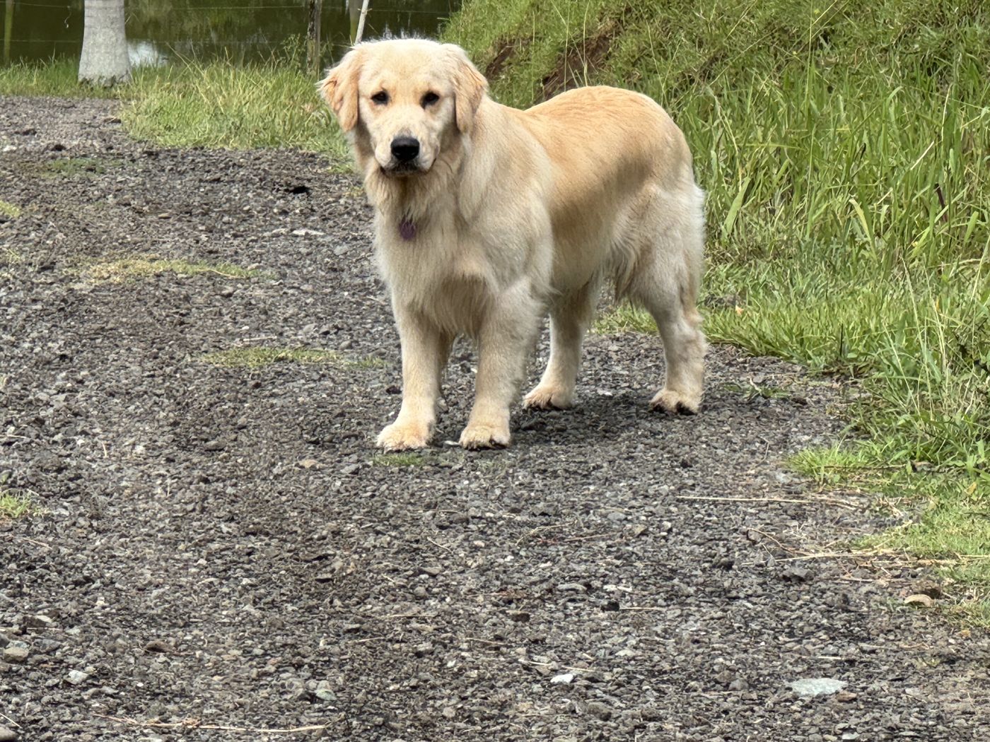 Atenas on a gravel road