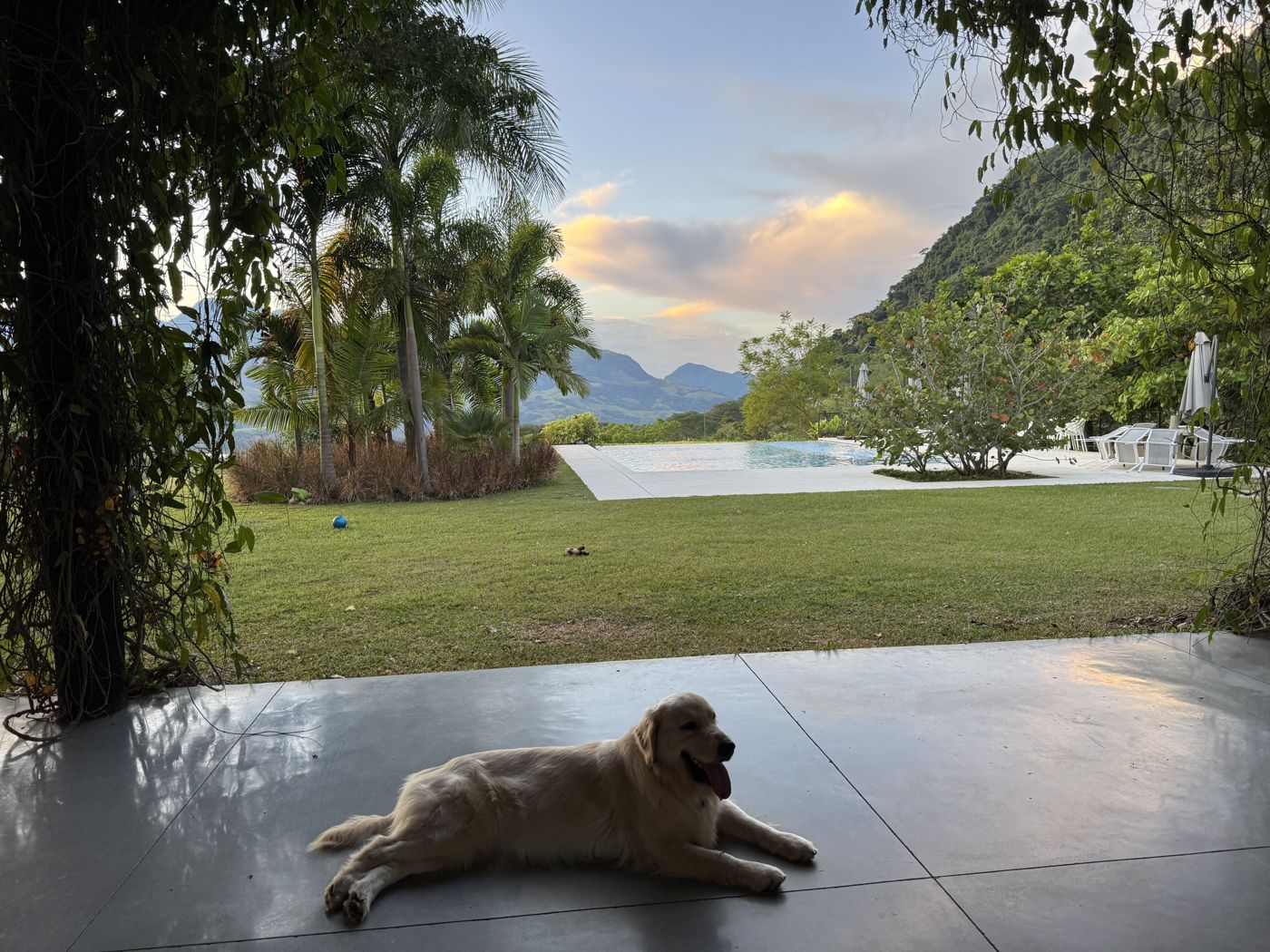 Atenas by the pool at sunset with mountains behind